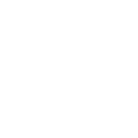 The Boring Workshops logo