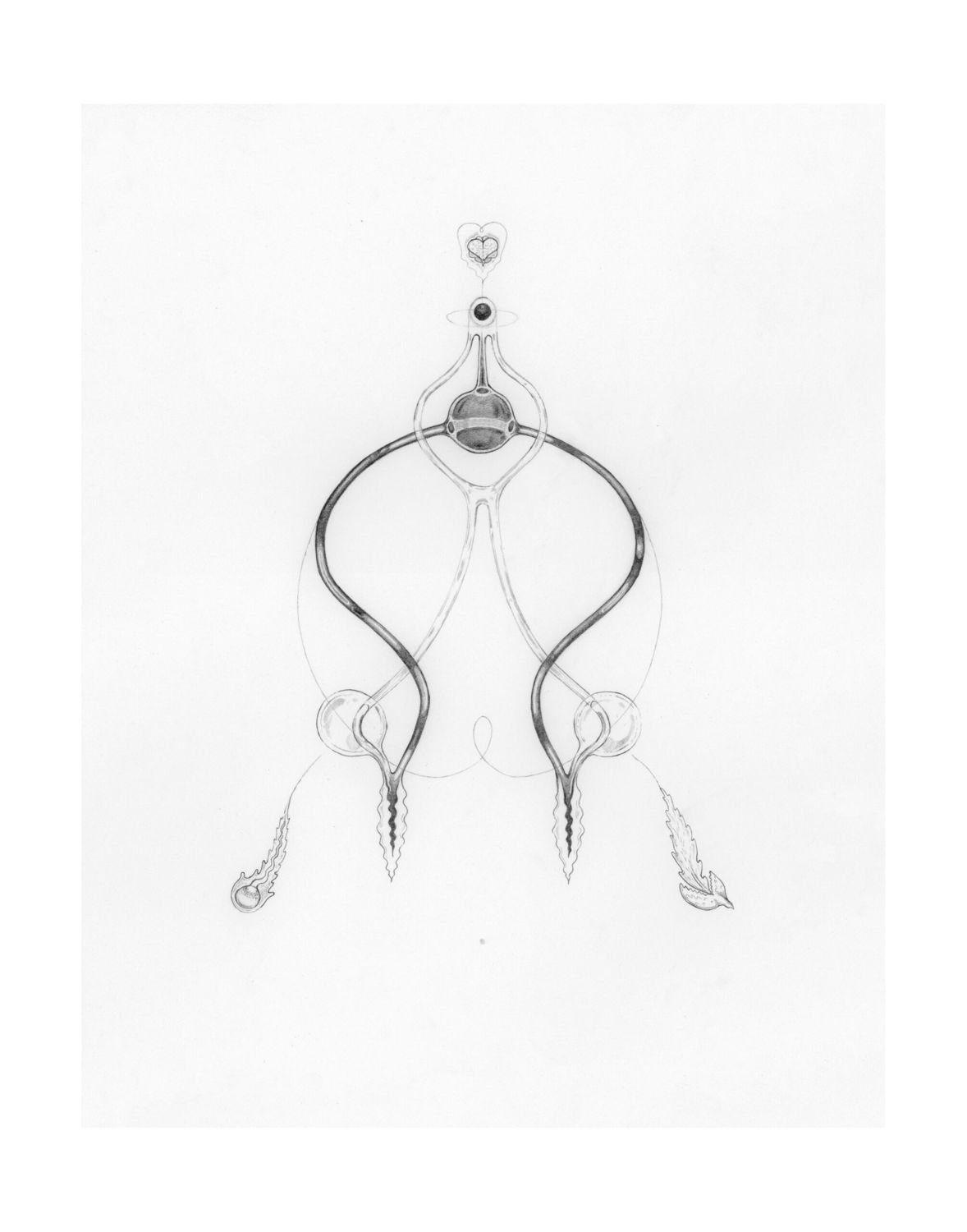 Adrian Abela, photo 3