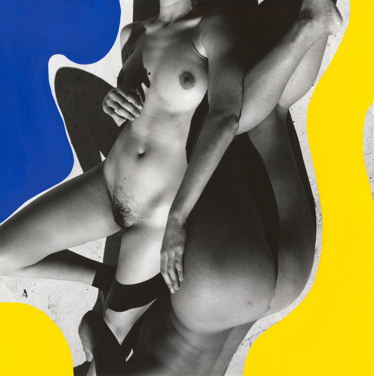 SteF GALEA, photo 3