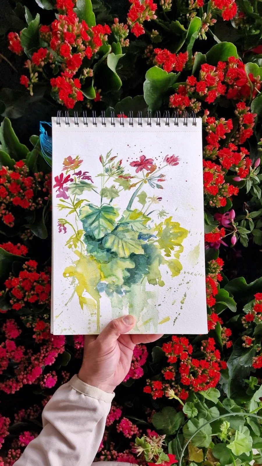 Botanical watercolour studies by Alfie Gatt, who runs Botanical Watercolours with Boring Workshops